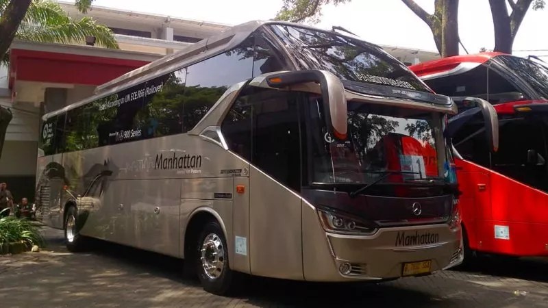 Bus Pariwisata